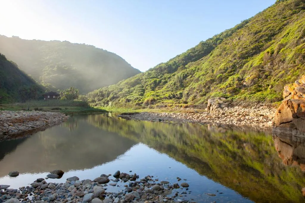 River valley with forested mountains and morning light, scenic landscape view