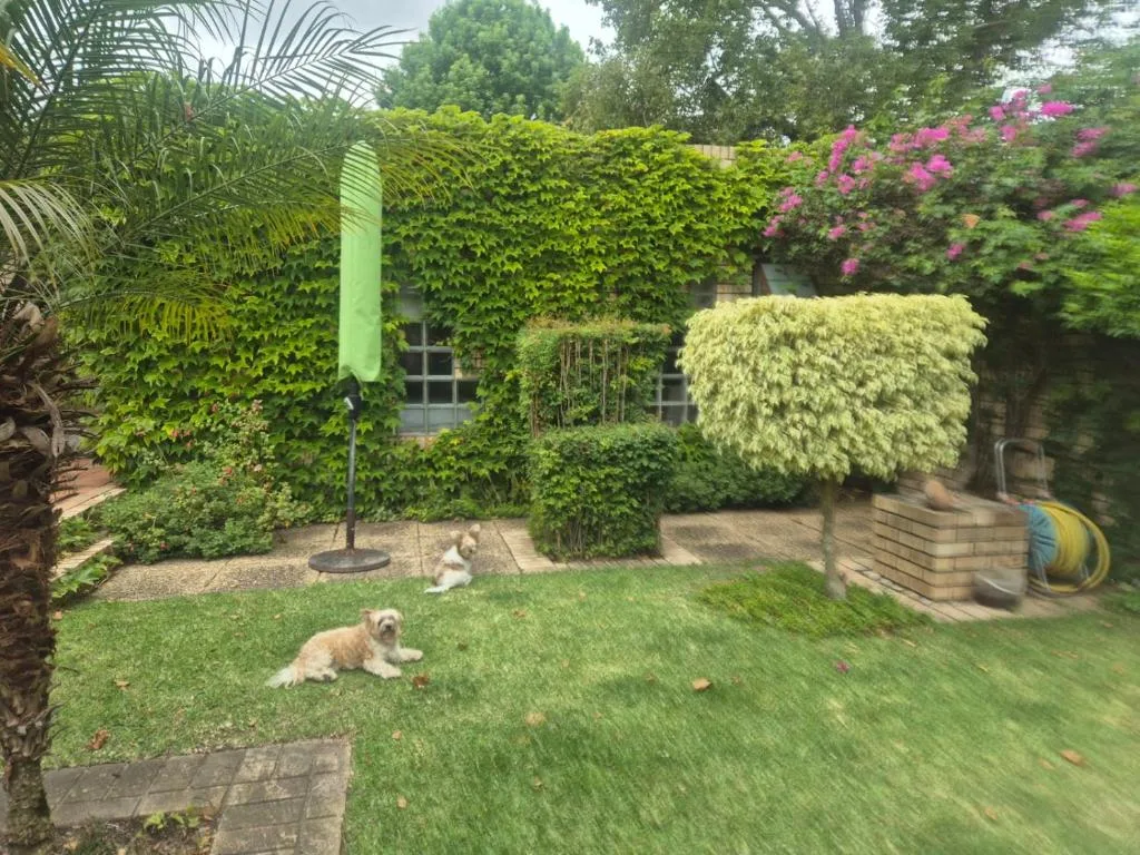 Lush garden with flowering shrubs, ivy-covered walls, and relaxing dog on grass
