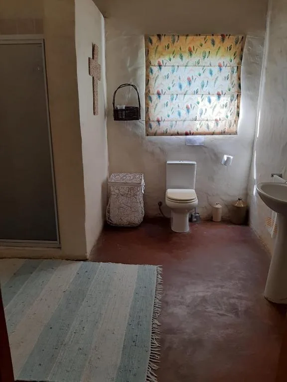 Simple bathroom with toilet, sink, and window with patterned curtains