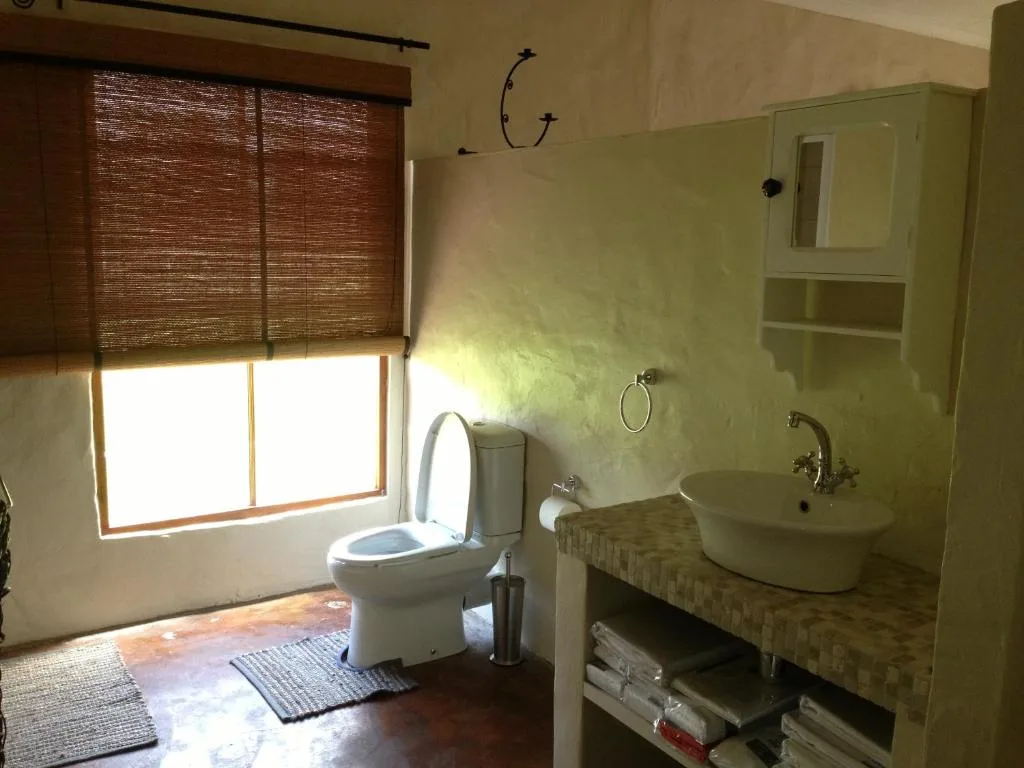 Bathroom with toilet, round sink, green painted walls, and natural light