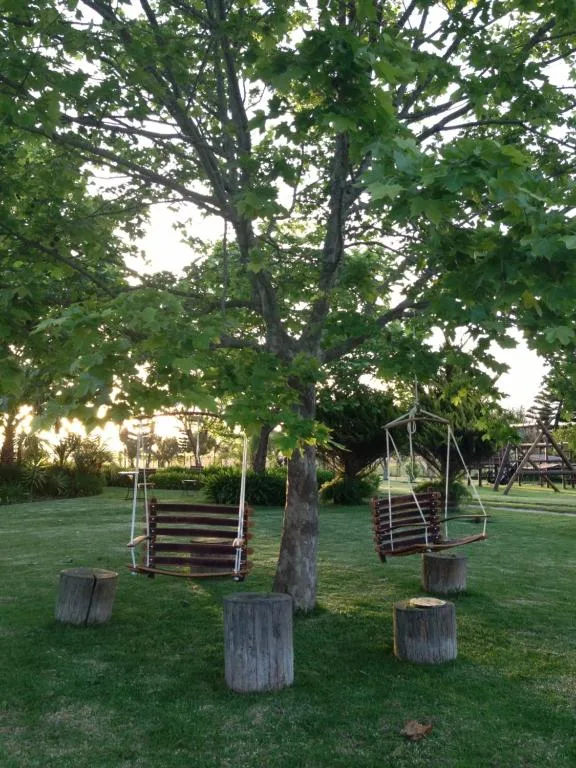 Rustic wooden swing benches beneath large shade tree on manicured lawn