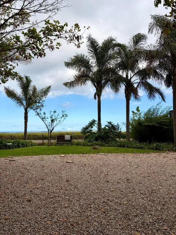 Spacious gravel driveway with palm trees and distant valley views