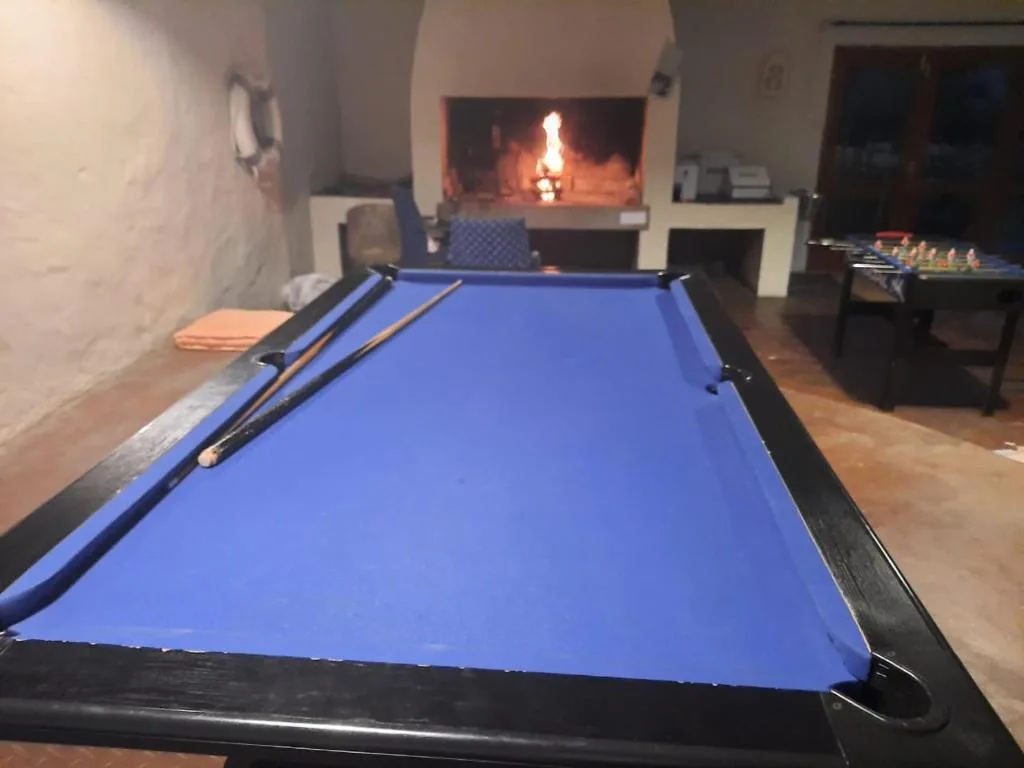Games room with blue pool table and fireplace entertainment area