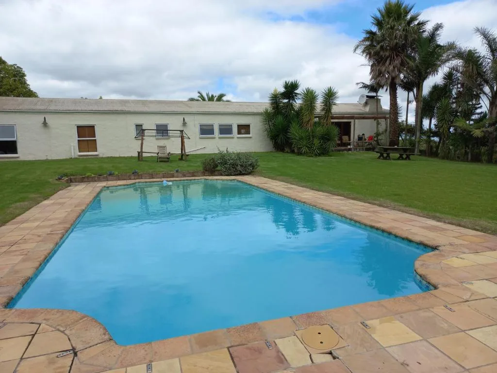 Rectangular swimming pool with brick patio, white building and palm trees behind