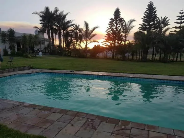Swimming pool at sunset with manicured garden and palm trees beyond