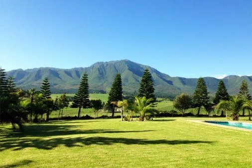 Majestic mountain landscape beyond lush green gardens and Norfolk pines