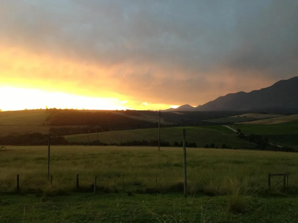 Golden sunset over rolling green farmland with distant mountains