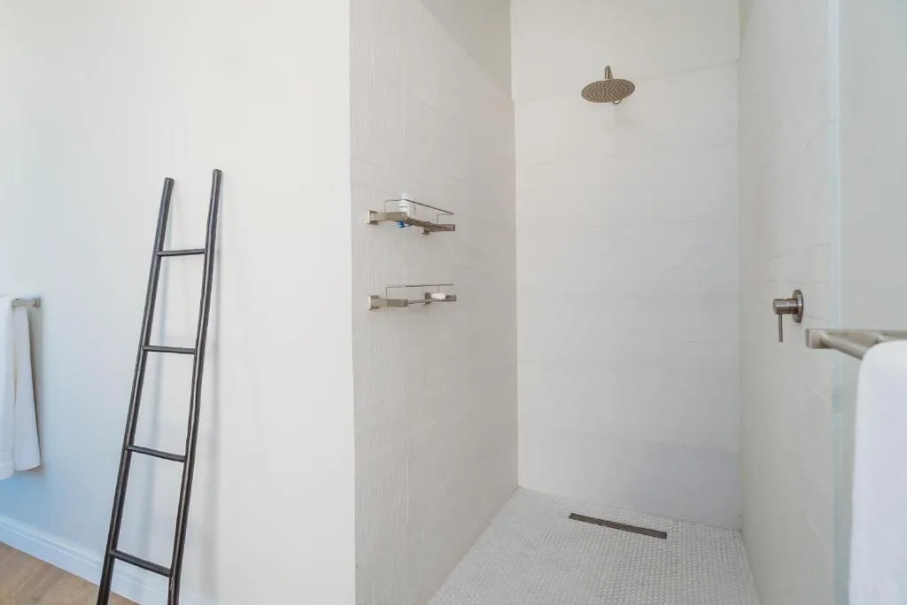 Modern walk-in shower with rainfall showerhead and heated towel ladder