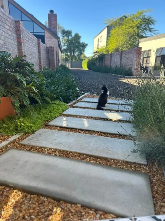 Modern villa entrance with stepping stone pathway and lush landscaping