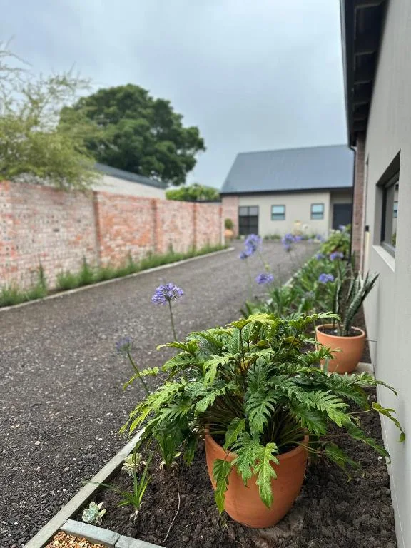 Driveway entrance with potted purple flowers and brick boundary wall