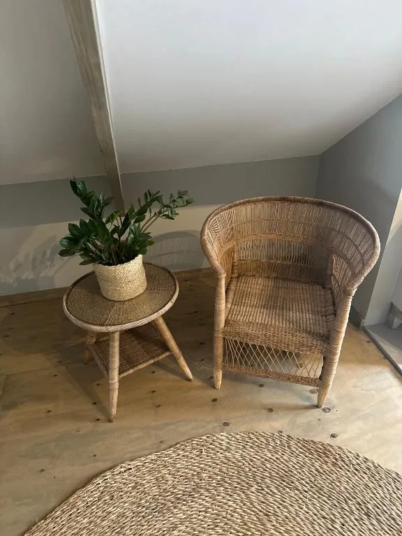 Woven wicker armchair with side table and potted plant in relaxation space