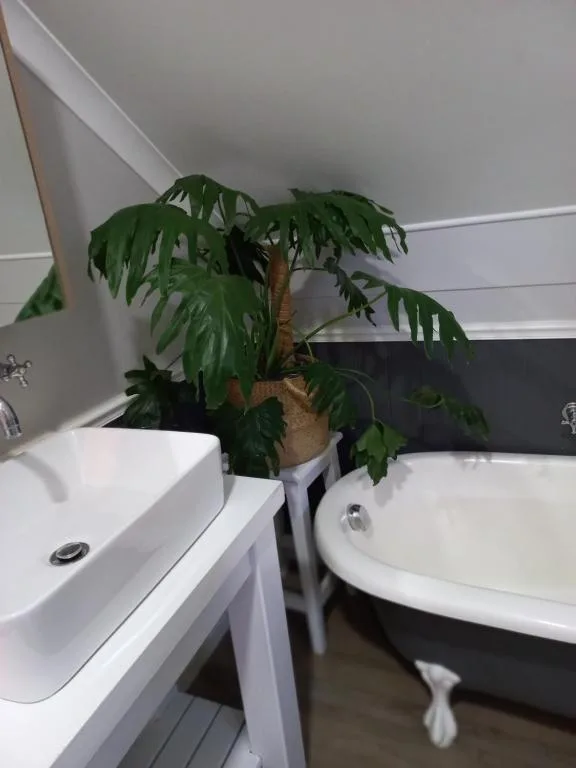 Modern bathroom with white sink, round bathtub, and potted plant decoration