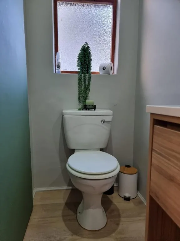 Bathroom with toilet, small window, and decorative trailing plant