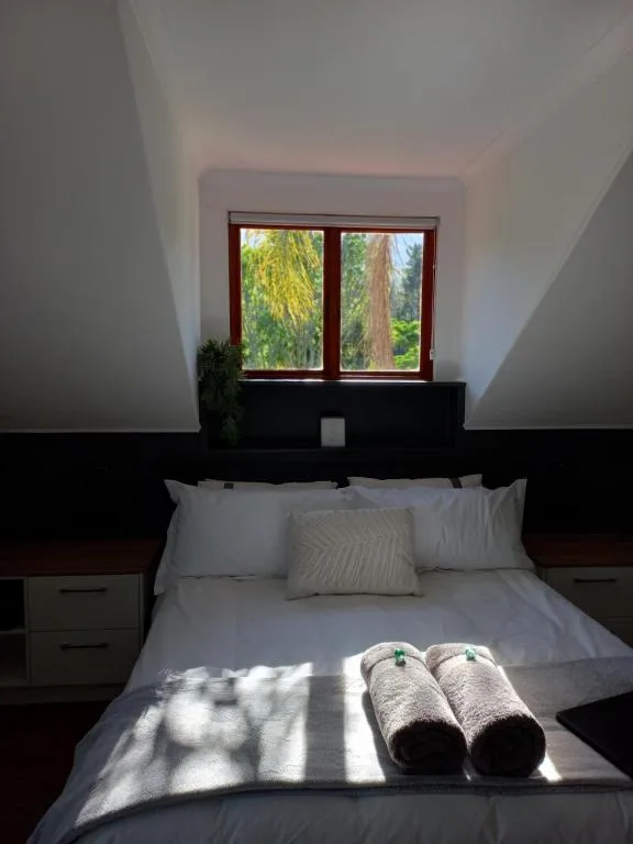 Bright bedroom with double bed, white pillows, and forest view through windows