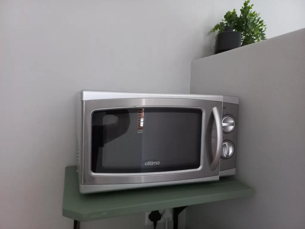 Vintage-style stainless steel microwave on green shelf with plant