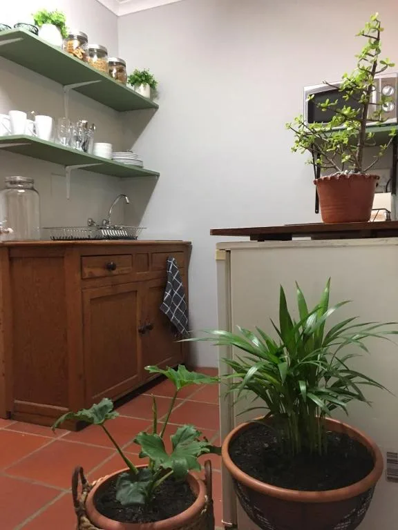 Modern kitchen with open shelving, wooden cabinetry, and potted plants