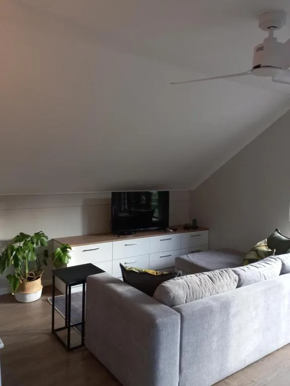 Modern lounge with grey sofa, TV unit, potted plant, and ceiling fan