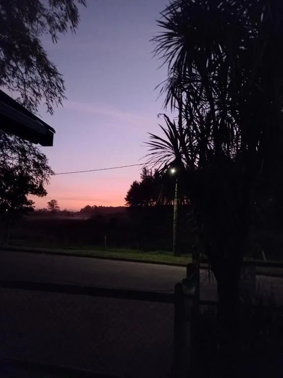 Twilight sunset over garden landscape with silhouetted palm trees