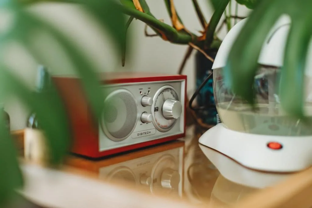 Vintage red radio and white desk lamp among potted green plants