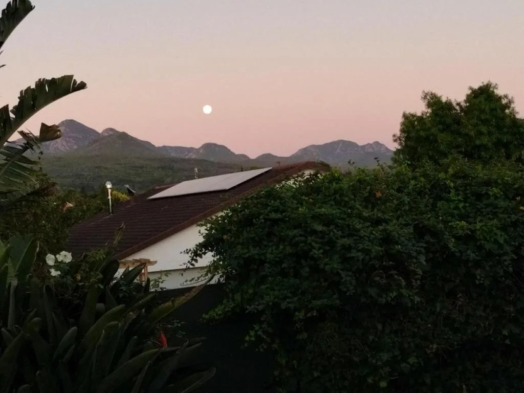 Mountain ranges at sunset with lush garden vegetation framing property