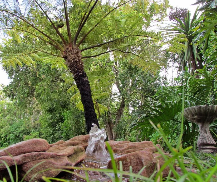 Lush garden with mature tree, stone feature, and tropical plants
