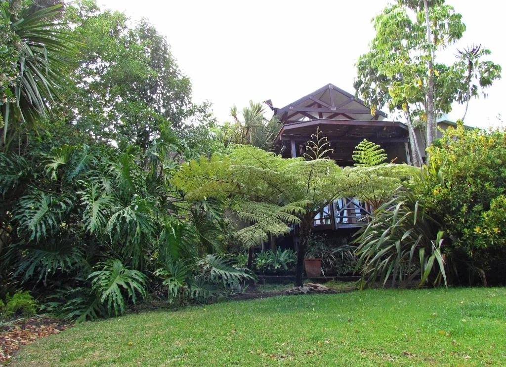 Lush garden with ferns and tropical plants surrounding dark timber cottage