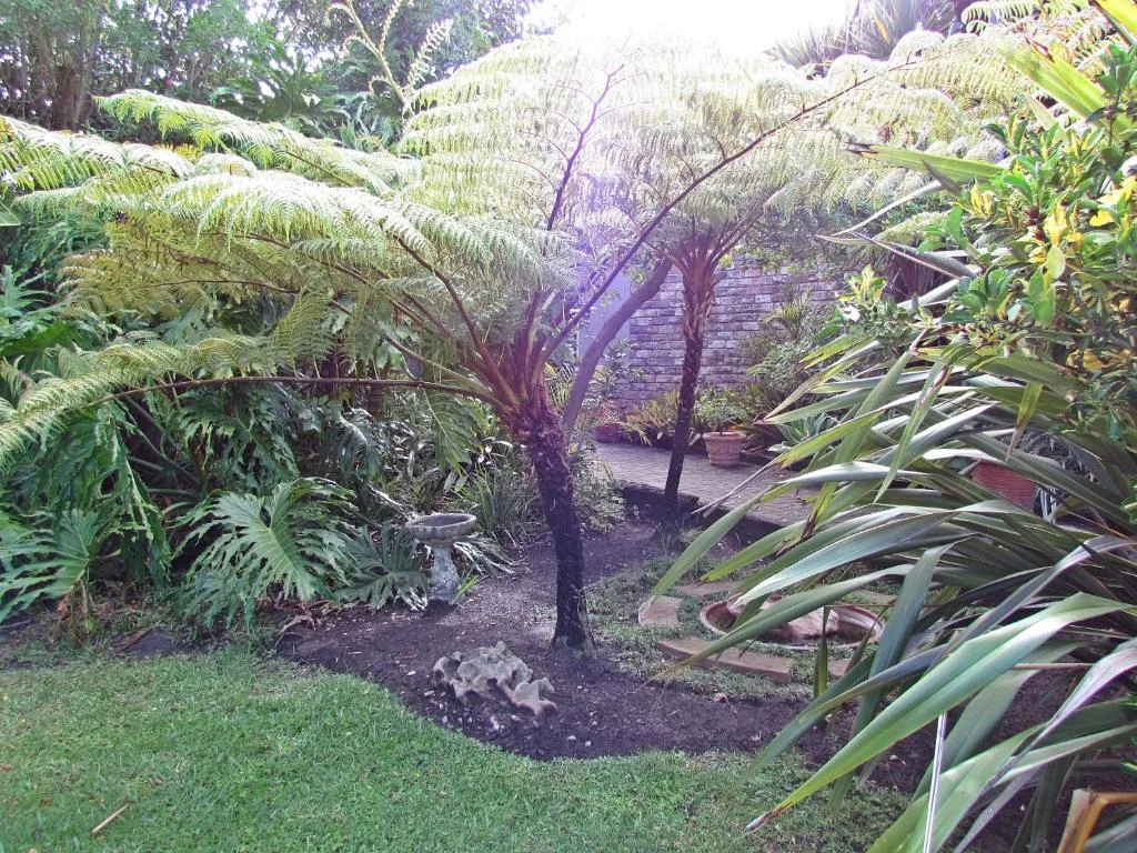 Lush tropical garden pathway with palm trees and native vegetation leading to deck