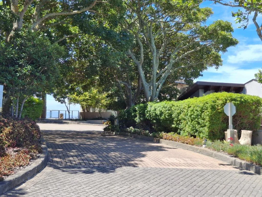 Paved driveway lined with mature trees and manicured hedges leading to property