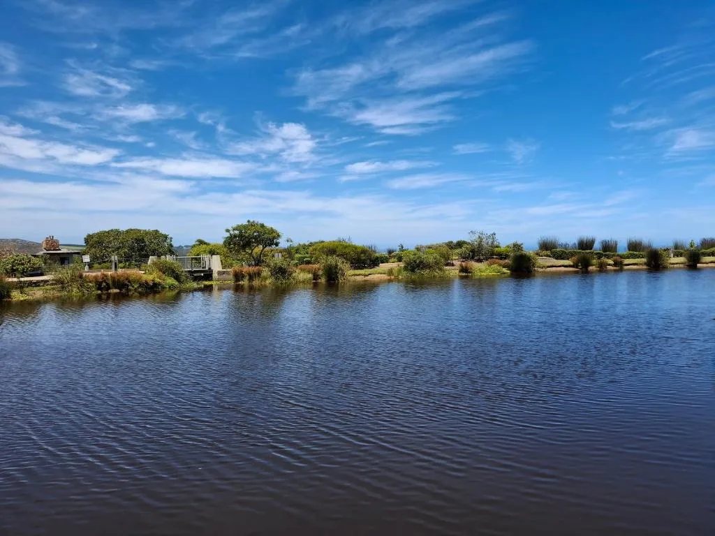 Scenic lagoon view with lush vegetation and clear blue sky