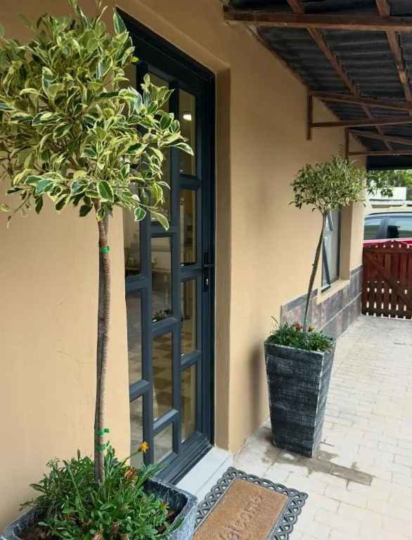 Modern entrance with potted plants and welcoming dark door frame