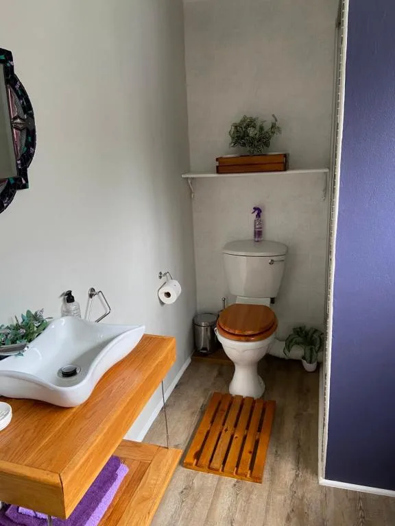 Compact bathroom with wooden vanity, white sink, and dual-flush toilet