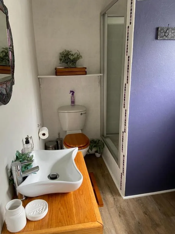 Compact bathroom with white sink, toilet, wooden counter, and shower cubicle