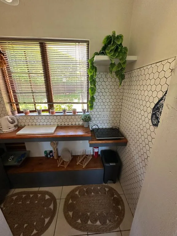 Modern bathroom with hexagonal tile backsplash, wooden vanity, and hanging plants