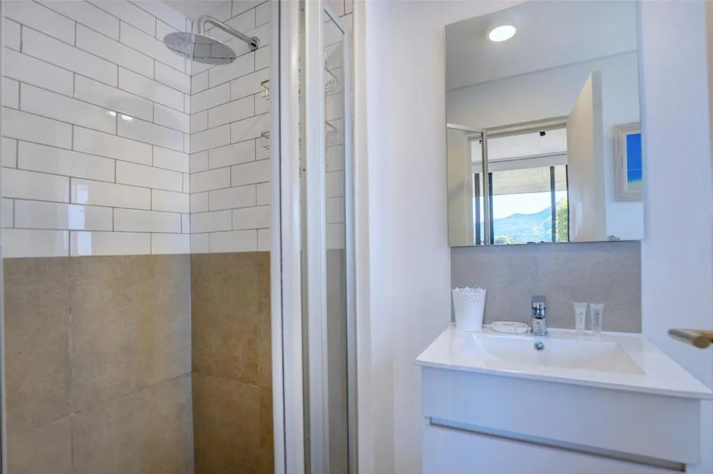 Modern bathroom with walk-in shower, white vanity sink, and large mirror
