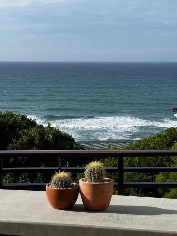 Ocean view with waves and coastal vegetation from deck railing
