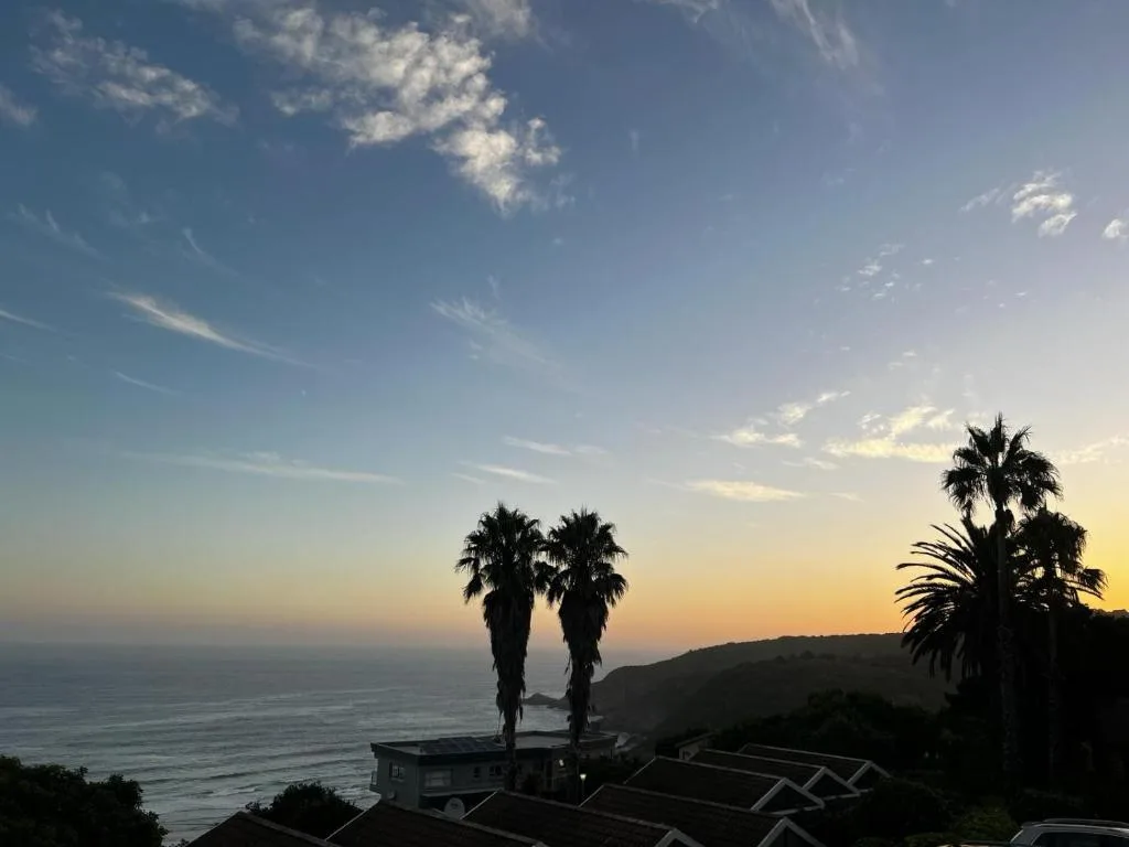 Ocean sunset view with palm trees and coastal mountains from property