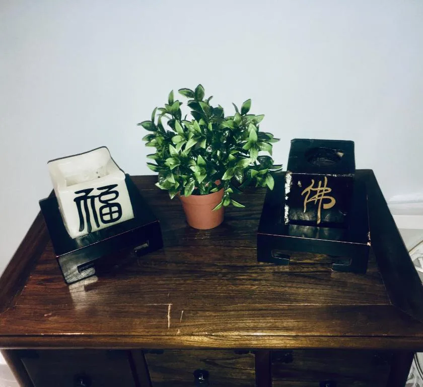 Decorative wooden table with potted plant and Asian character boxes