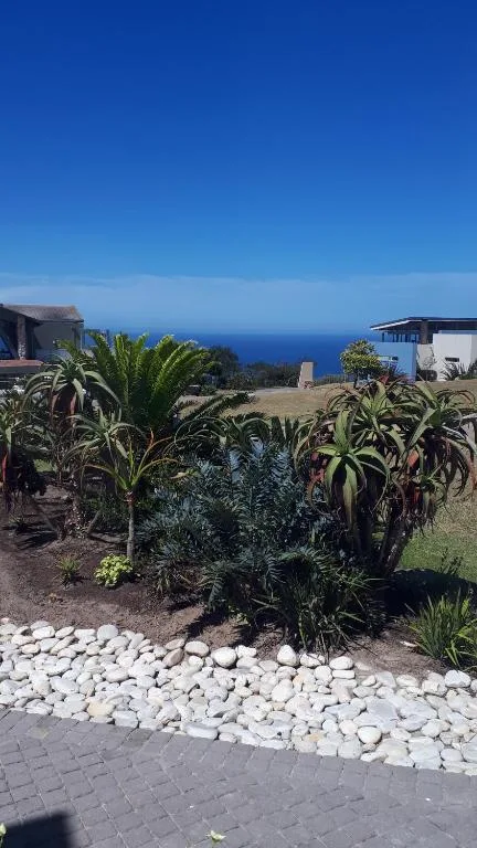 Ocean and coastal landscape visible beyond garden with tropical plants