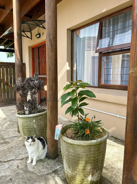 Covered porch entrance with potted plants and wooden columns