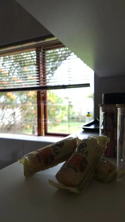 Modern kitchen counter with packaged items and garden view through large window