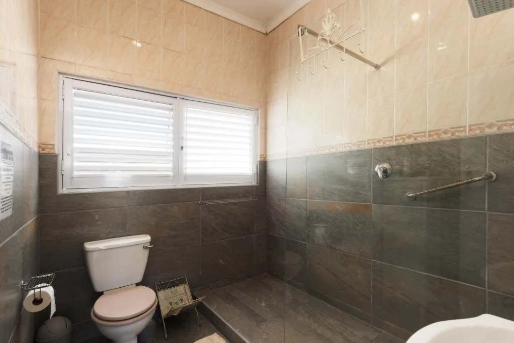 Modern bathroom with dark tile shower enclosure and frosted windows
