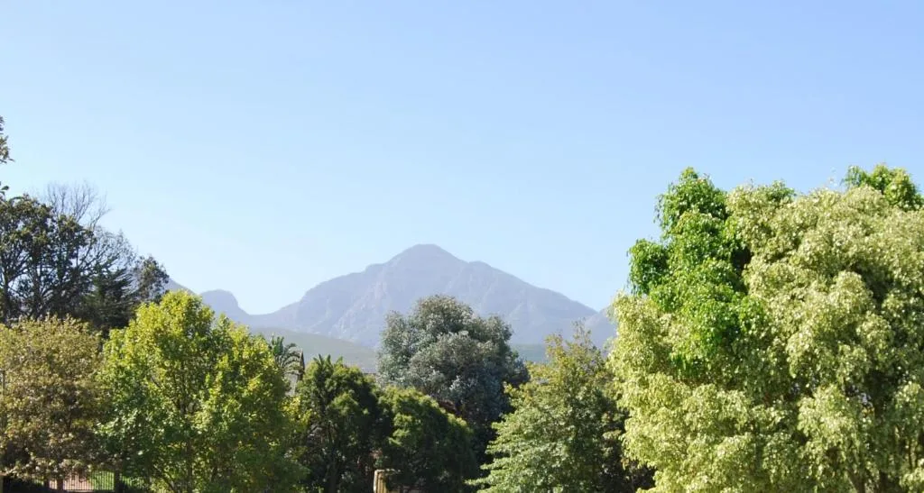Mountain vista framed by lush green trees and clear blue sky