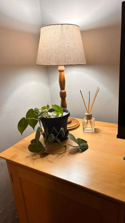 Wooden table lamp with linen shade beside potted plant and reed diffuser