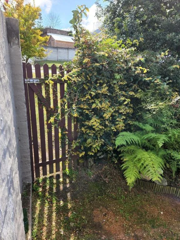 Garden gate and lush vegetation surrounding the property entrance area