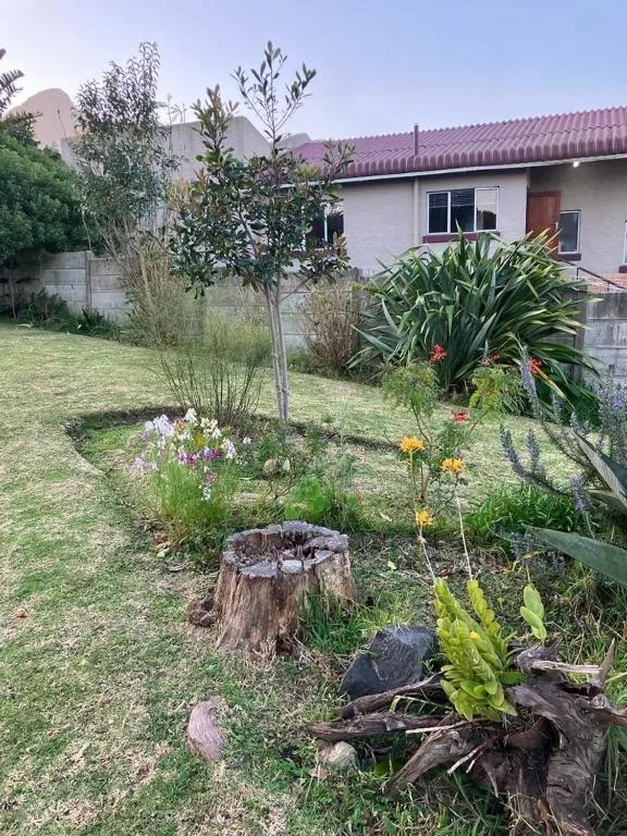 White-walled cottage with pink roof and established garden featuring flowering plants