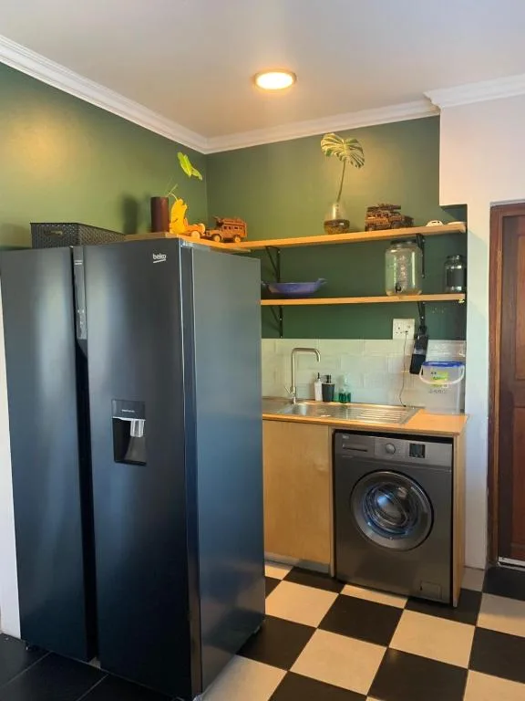 Modern kitchen with black refrigerator, washing machine, wooden shelves against green wall