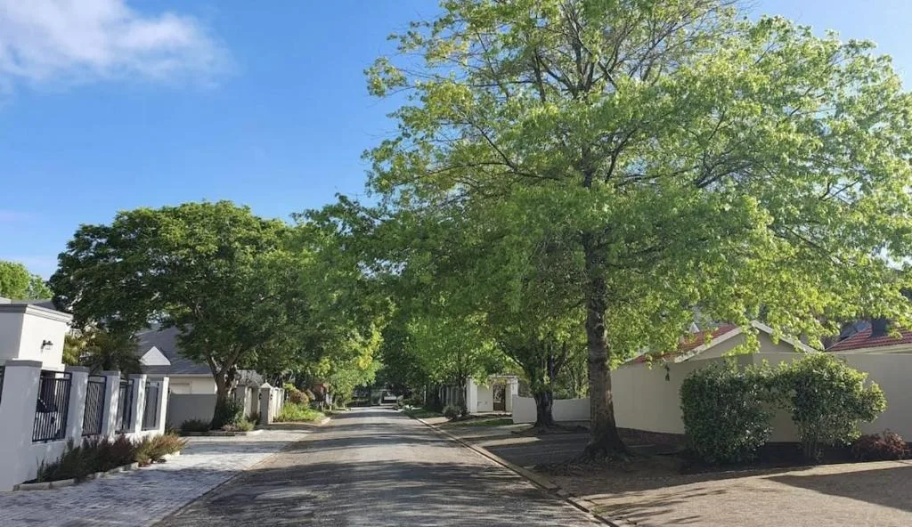 Tree-lined driveway with white cottages and manicured gardens