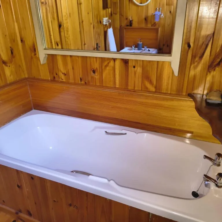 Wooden-paneled bathroom with white bathtub and vanity mirror