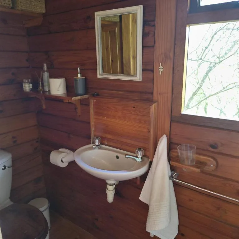 Rustic wooden bathroom with wall-mounted sink and mirror inside cabin