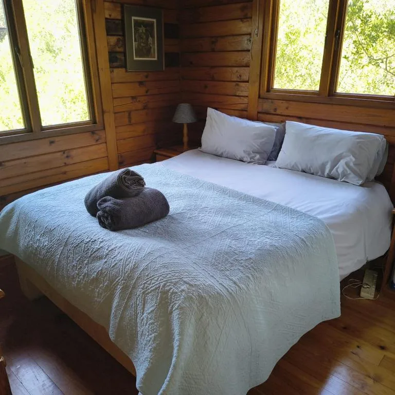 Cozy wooden bedroom with queen bed, fresh white linens, and large windows overlooking trees